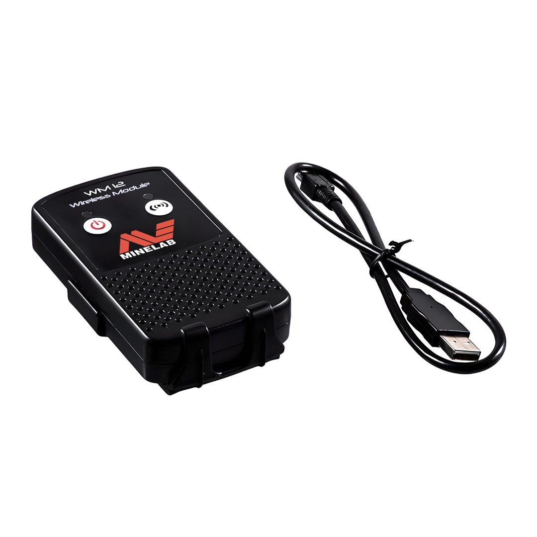 Kabelloses Audiomodul, WM 10